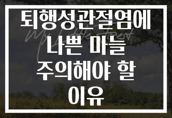 퇴행성관절염에 나쁜 마늘 주의해야 할 이유