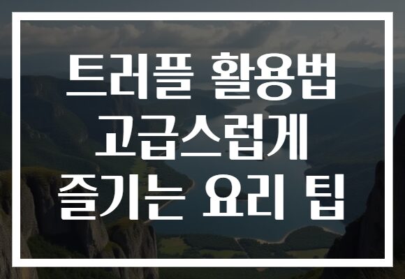 트러플 활용법 고급스럽게 즐기는 요리 팁