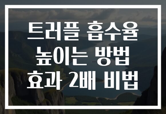 트러플 흡수율 높이는 방법 효과 2배 비법