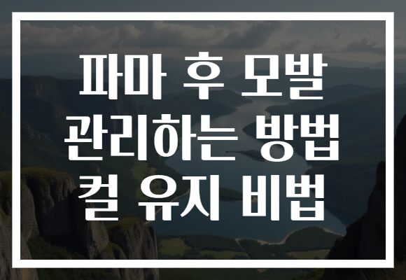 파마 후 모발 관리하는 방법 컬 유지 비법