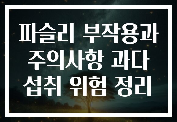 파슬리 부작용과 주의사항 과다 섭취 위험 정리