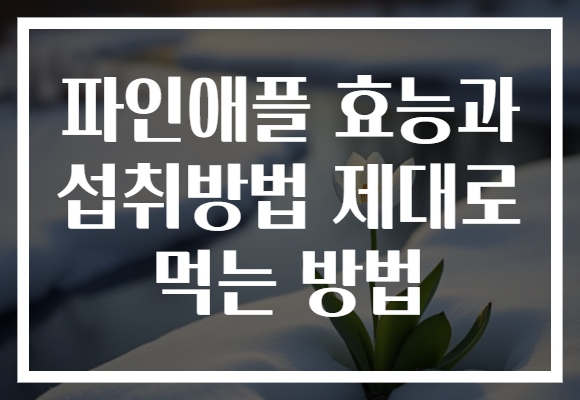 파인애플 효능과 섭취방법 제대로 먹는 방법