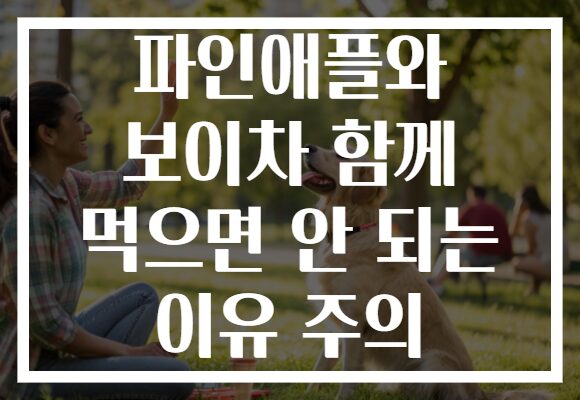 파인애플와 보이차 함께 먹으면 안 되는 이유 주의