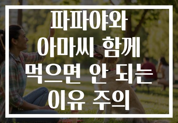 파파야와 아마씨 함께 먹으면 안 되는 이유 주의