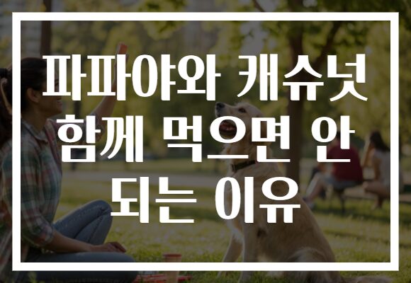 파파야와 캐슈넛 함께 먹으면 안 되는 이유