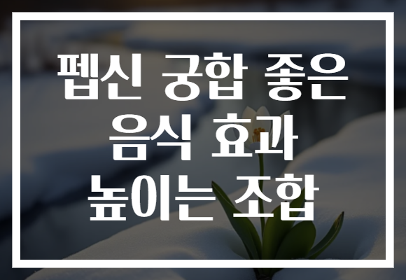 펩신 궁합 좋은 음식 효과 높이는 조합