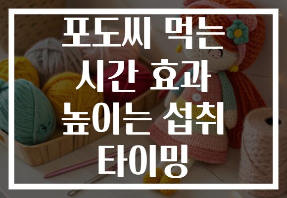 포도씨 먹는 시간 효과 높이는 섭취 타이밍