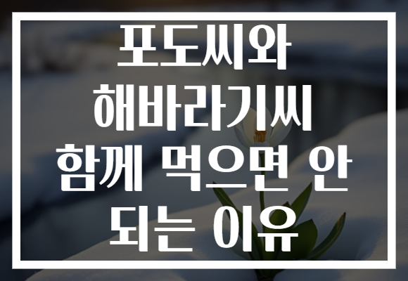 포도씨와 해바라기씨 함께 먹으면 안 되는 이유