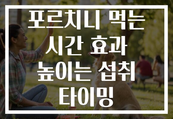 포르치니 먹는 시간 효과 높이는 섭취 타이밍