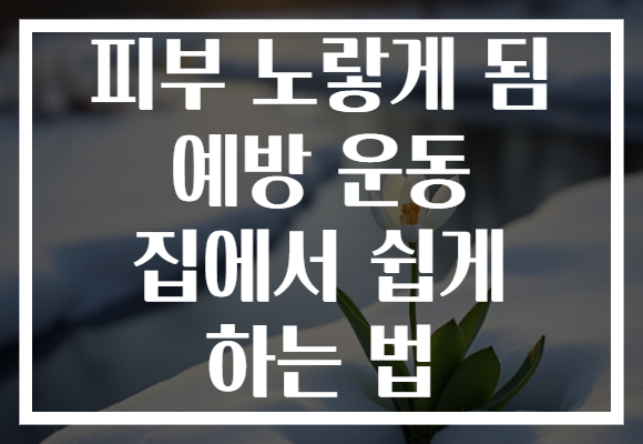 피부 노랗게 됨 예방 운동 집에서 쉽게 하는 법