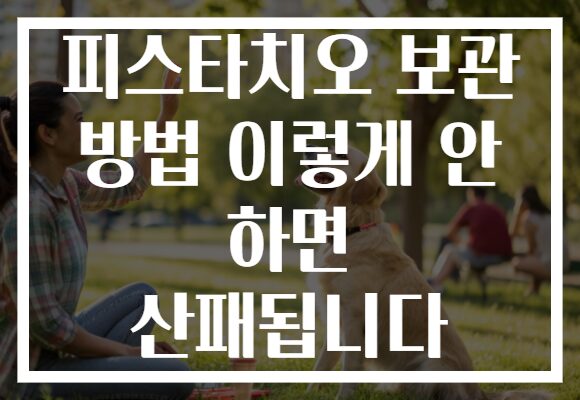 피스타치오 보관 방법 이렇게 안 하면 산패됩니다