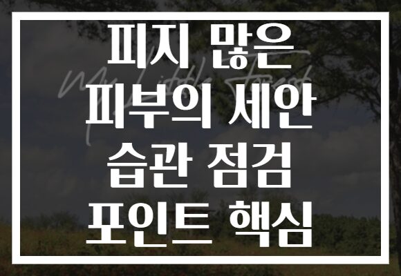 피지 많은 피부의 세안 습관 점검 포인트 핵심