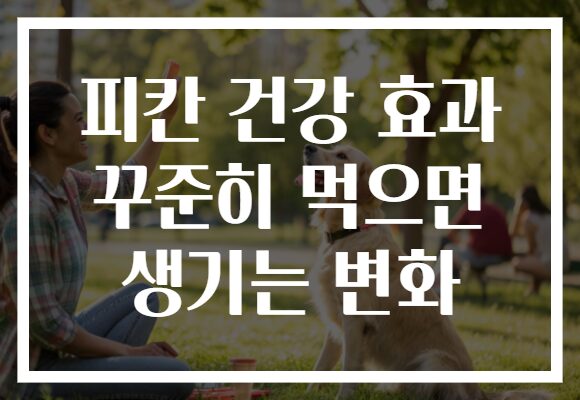 피칸 건강 효과 꾸준히 먹으면 생기는 변화