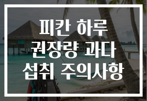 피칸 하루 권장량 과다 섭취 주의사항