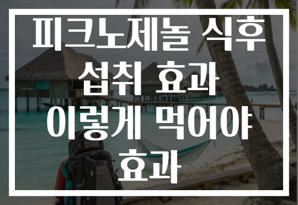피크노제놀 식후 섭취 효과 이렇게 먹어야 효과