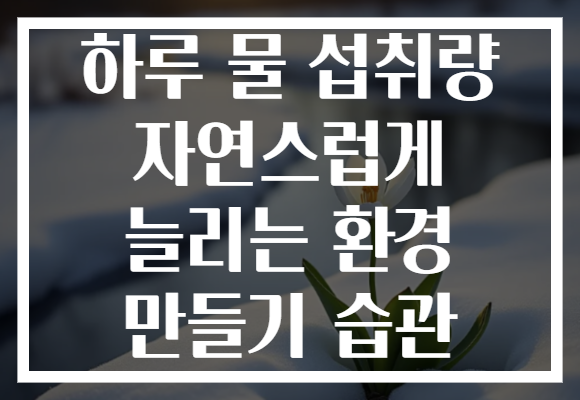 하루 물 섭취량 자연스럽게 늘리는 환경 만들기 습관