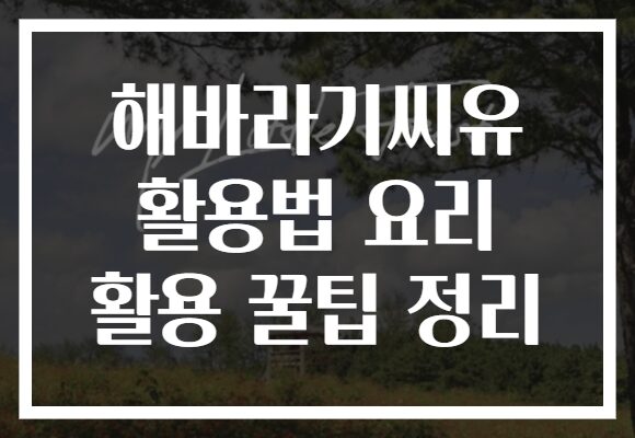 해바라기씨유 활용법 요리 활용 꿀팁 정리