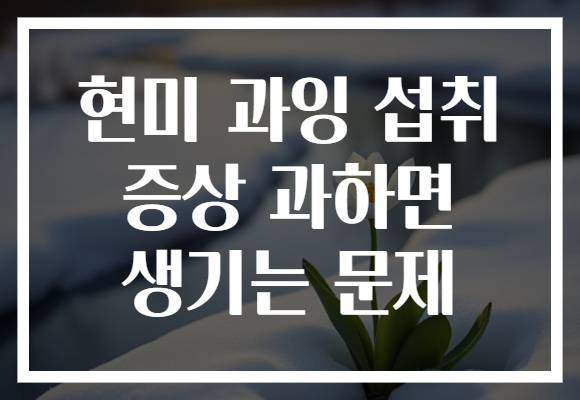 현미 과잉 섭취 증상 과하면 생기는 문제