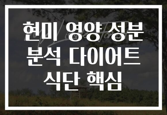 현미 영양 성분 분석 다이어트 식단 핵심