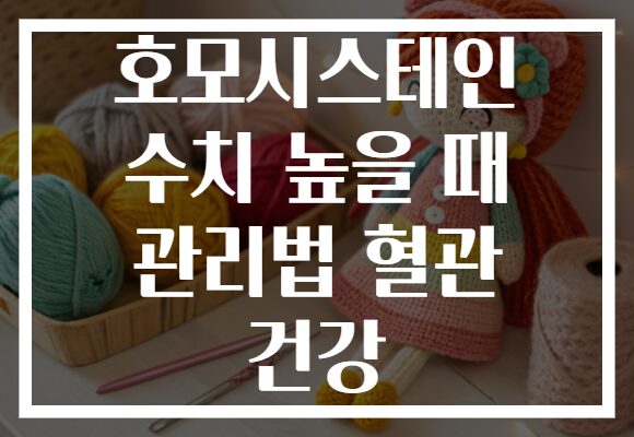 호모시스테인 수치 높을 때 관리법 혈관 건강