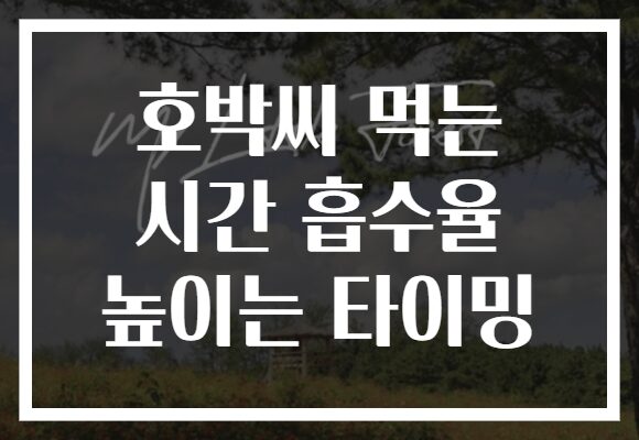 호박씨 먹는 시간 흡수율 높이는 타이밍