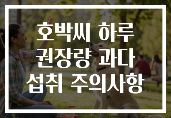 호박씨 하루 권장량 과다 섭취 주의사항