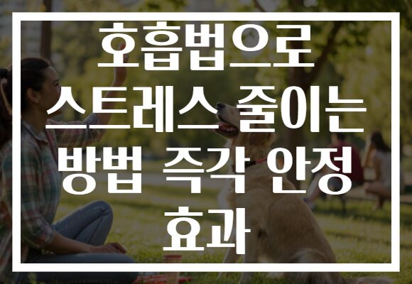호흡법으로 스트레스 줄이는 방법 즉각 안정 효과