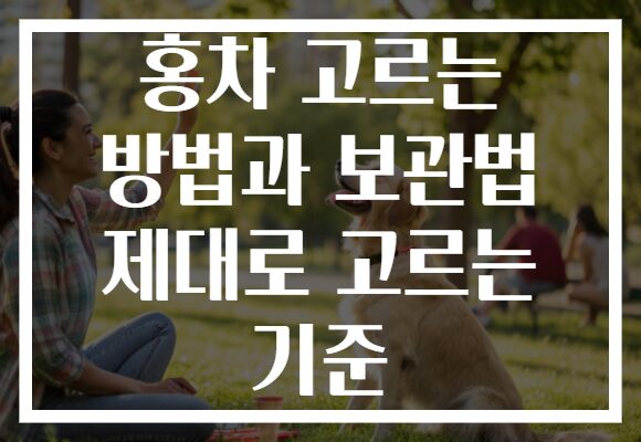 홍차 고르는 방법과 보관법 제대로 고르는 기준