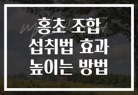 홍초 조합 섭취법 효과 높이는 방법