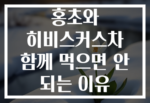 홍초와 히비스커스차 함께 먹으면 안 되는 이유