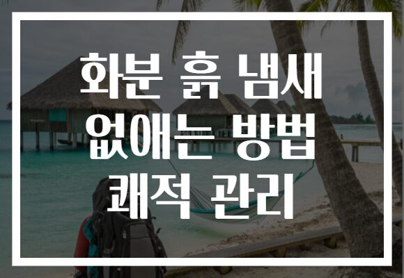 화분 흙 냄새 없애는 방법 쾌적 관리