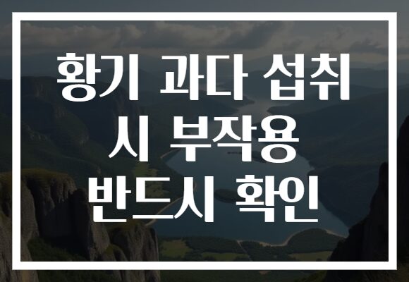 황기 과다 섭취 시 부작용 반드시 확인