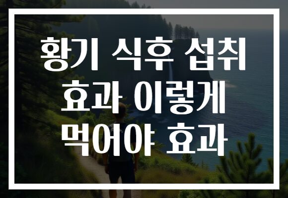 황기 식후 섭취 효과 이렇게 먹어야 효과