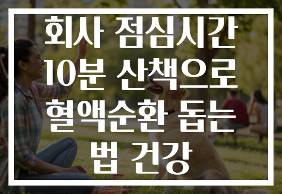 회사 점심시간 10분 산책으로 혈액순환 돕는 법 건강