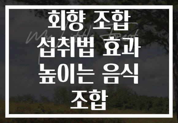 회향 조합 섭취법 효과 높이는 음식 조합