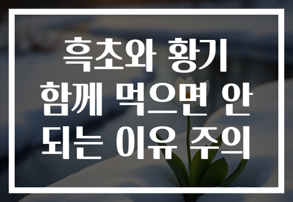 흑초와 황기 함께 먹으면 안 되는 이유 주의
