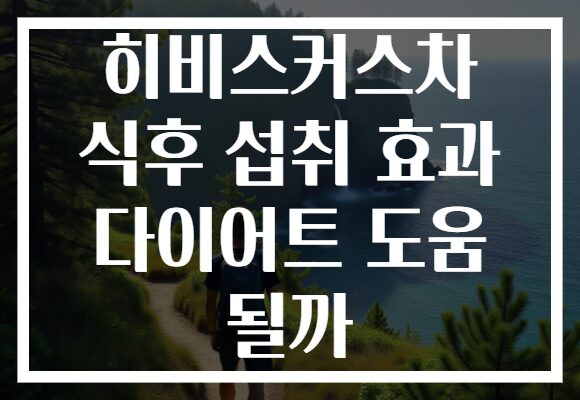 히비스커스차 식후 섭취 효과 다이어트 도움 될까