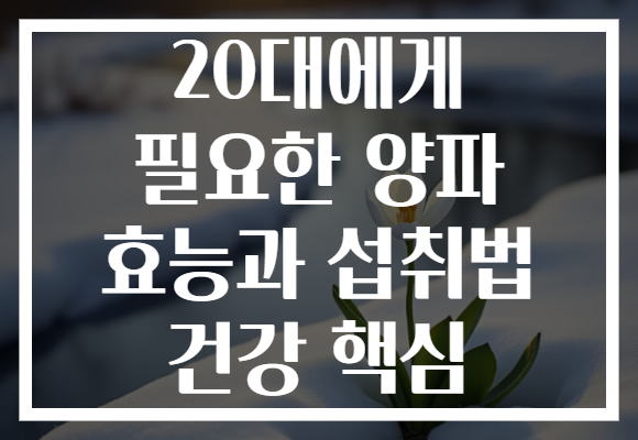 20대에게 필요한 양파 효능과 섭취법 건강 핵심