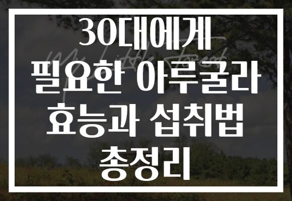30대에게 필요한 아루굴라 효능과 섭취법 총정리