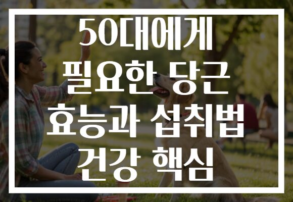 50대에게 필요한 당근 효능과 섭취법 건강 핵심