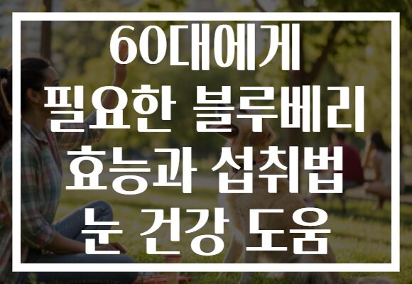 60대에게 필요한 블루베리 효능과 섭취법 눈 건강 도움