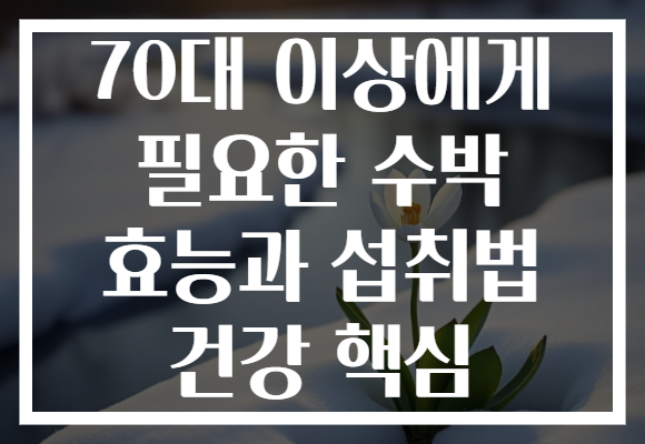 70대 이상에게 필요한 수박 효능과 섭취법 건강 핵심