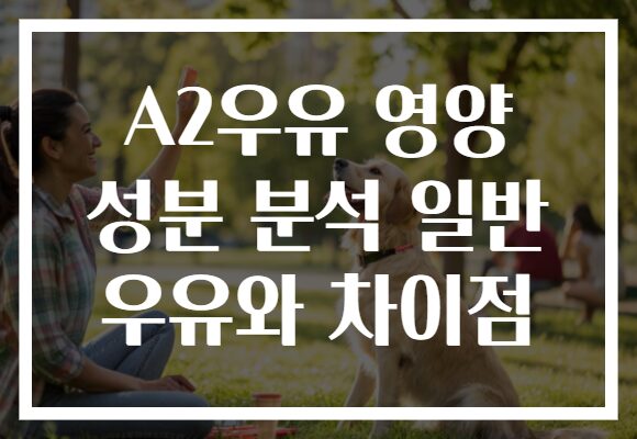 A2우유 영양 성분 분석 일반 우유와 차이점