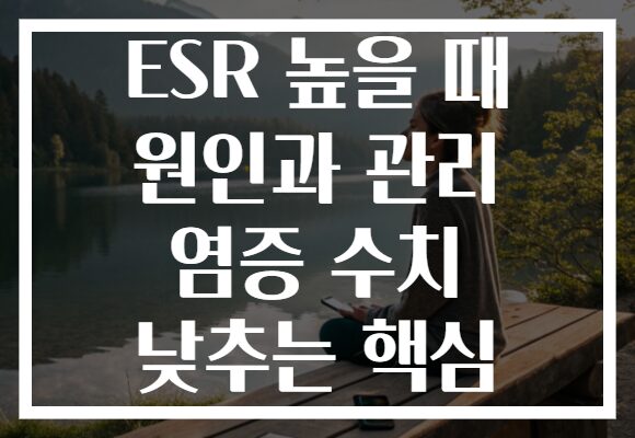 ESR 높을 때 원인과 관리 염증 수치 낮추는 핵심