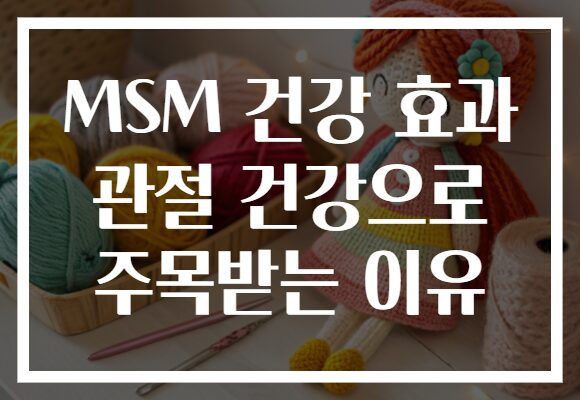 MSM 건강 효과 관절 건강으로 주목받는 이유