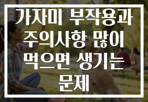 가자미 부작용과 주의사항 많이 먹으면 생기는 문제