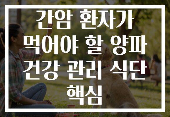 간암 환자가 먹어야 할 양파 건강 관리 식단 핵심