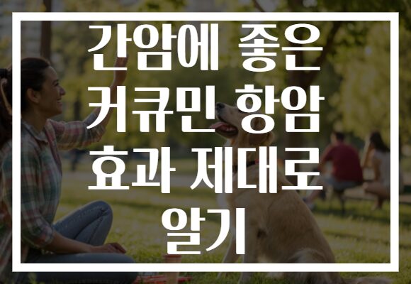 간암에 좋은 커큐민 항암 효과 제대로 알기