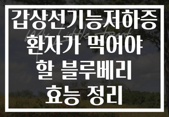 갑상선기능저하증 환자가 먹어야 할 블루베리 효능 정리