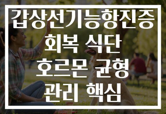 갑상선기능항진증 회복 식단 호르몬 균형 관리 핵심
